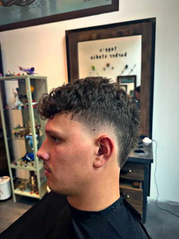 Curly top with a clean taper, side profile